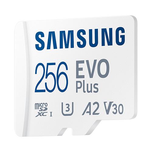 256GB microSD Card