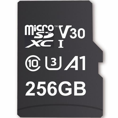MyMemory PLUS 256GB Micro SD Card (SDXC) 4K A1 UHS-1 V30 U3 + Adapter - 100MB/s