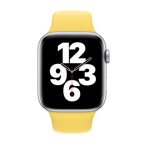 Apple watch ginger band new arrivals