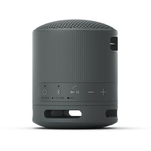 Sony SRS-XB100 Wireless Speaker - Black