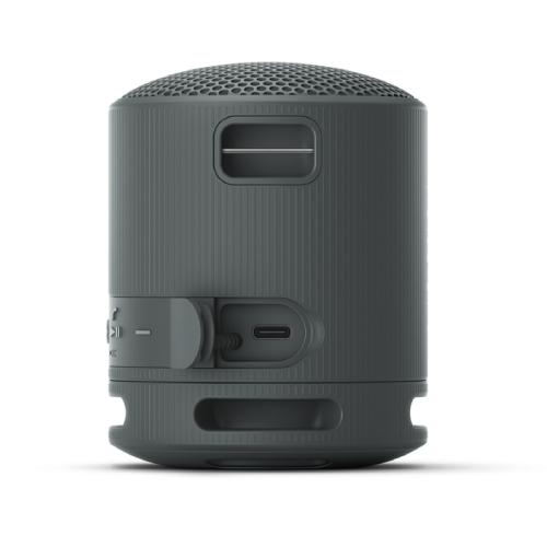 Sony SRS-XB100 Wireless Speaker - Black