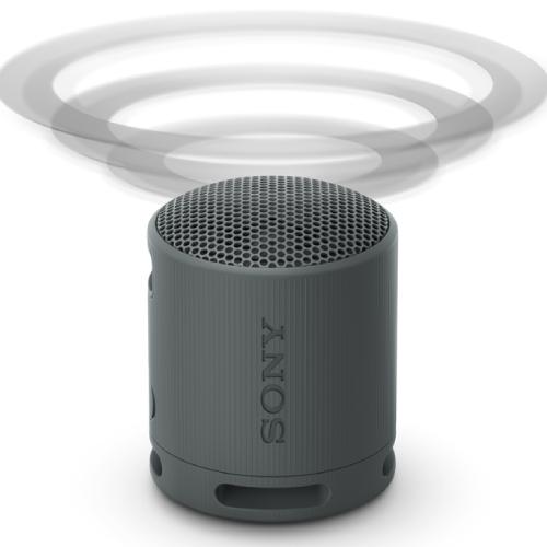Sony SRS-XB100 Wireless Speaker - Black