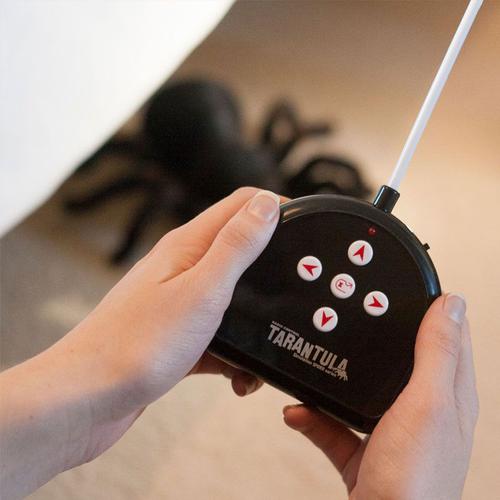 The Source Remote Control Tarantula £14.99 Free Delivery MyMemory