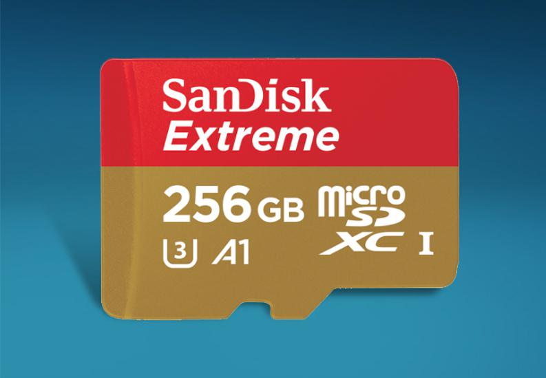 MicroSD 256GB CANVAS CLASS10 UHS-I V10 A1 100/85MB/s – Roy Memory