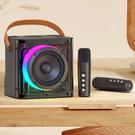 HAVIT Audio Series-Bluetooth speaker With 2 x Wireless Microphones